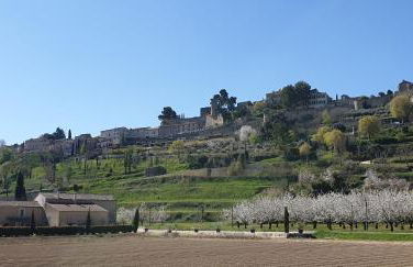 L'Ensoleillée - Photo 35