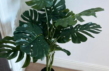 Spacious Central Manchester Apartment - Next To AO Arena & Picadilly Station - Local Attractions - Free Parking - Foto 29