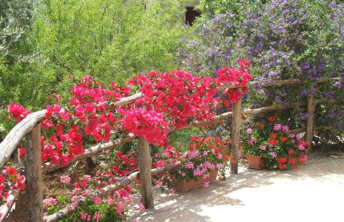 Residencefusaro pajare Specchia - Foto 18