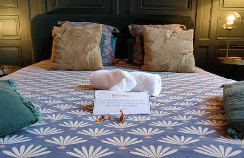 Nancy Vieille Ville Stanislas - Foto 72