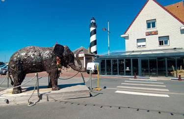 Studio Mer & Aa-terrasse-jardin-WIFI-parking-classé 3 étoiles - Foto 68