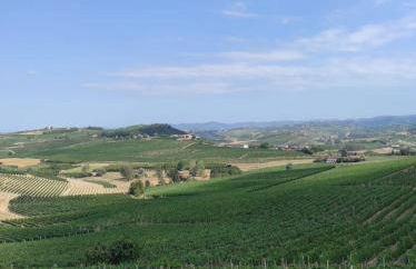 Casa tra le vigne - Foto 20