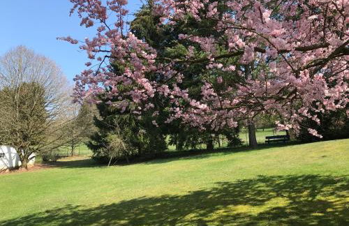 Ferienwohnung Land-Idylle - Foto 26