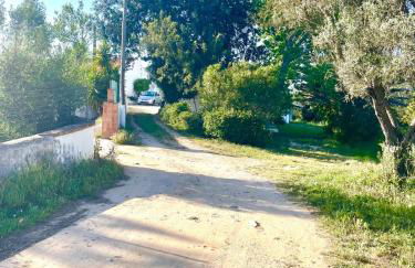 Toca das Manas - Foto 55