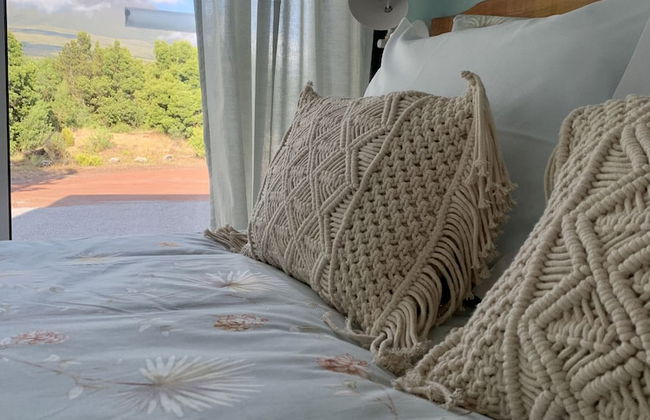 Pico Terrace - Photo 5