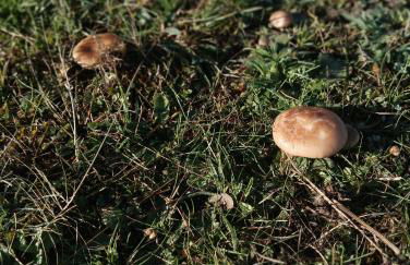 La fortaleza de Bernuy - Photo 47