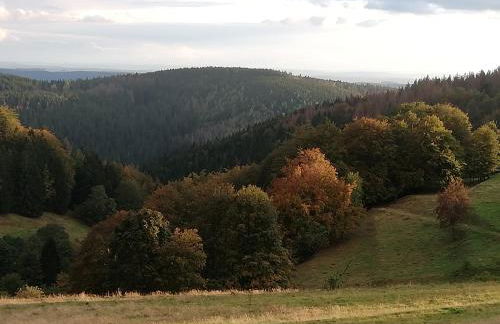 Schnetter Hummel, Apartment 1 - Foto 24