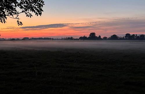 Dat-Blikhus - Foto 14