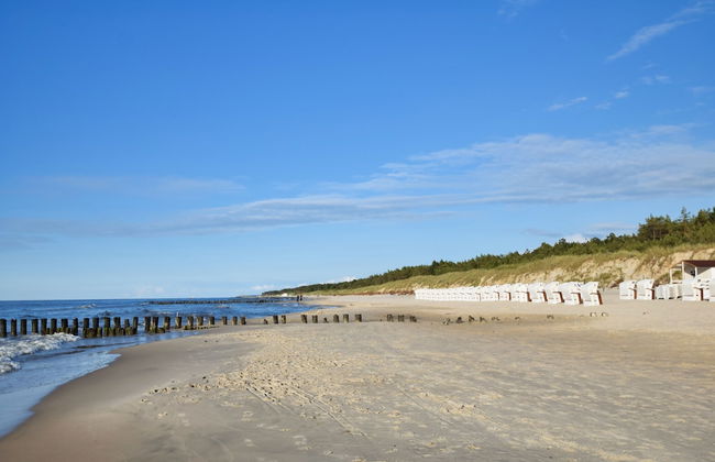 RentPlanet - Shellter - Foto 60