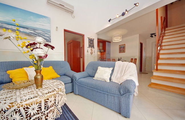 Dino - Gorgeous Garden - A3 Island - Foto 6