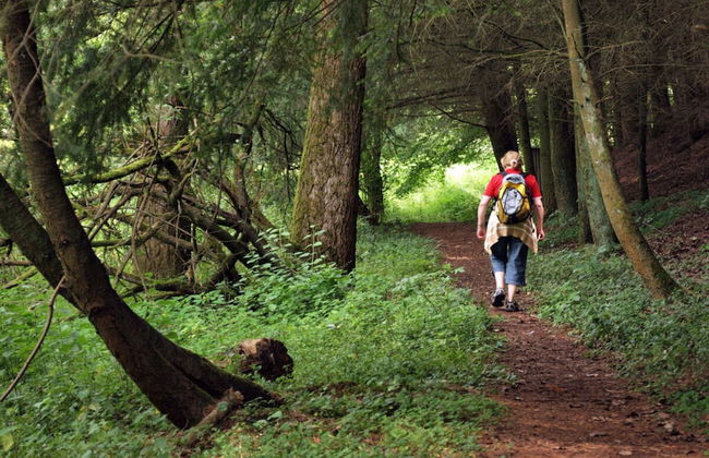 Holiday Apartment Sunflower - Foto 16