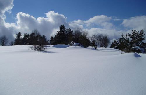 Apartment Preising - Foto 43