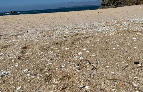 Magnifique villa face à la plage de Pors Peron - Foto 30