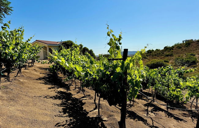 Cabañas Colibri - Foto 27