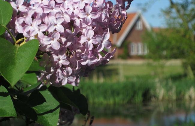 Colston Hall Cottages - Foto 62