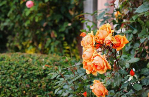 Clint Lodge - Foto 35