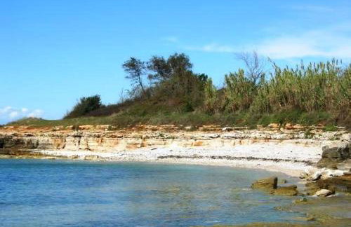 Janja Apartment - Photo 20