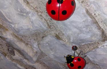 La Petite Sentence de Noyers - Foto 24