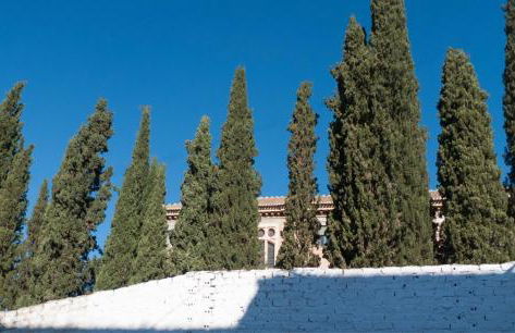 LA CASA DE LOS PINTORES, junto al centro de Granada - Foto 10