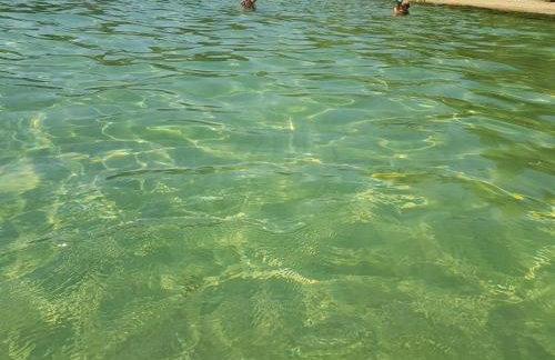 Stella's Garden - Foto 40