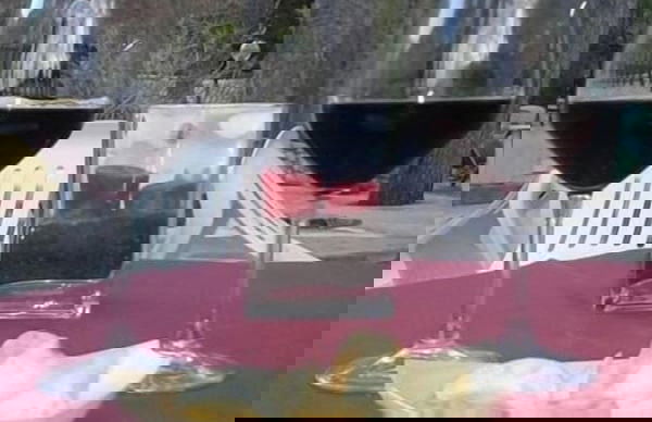 Terme Acqua Pia Wellness & SPA - Foto 21