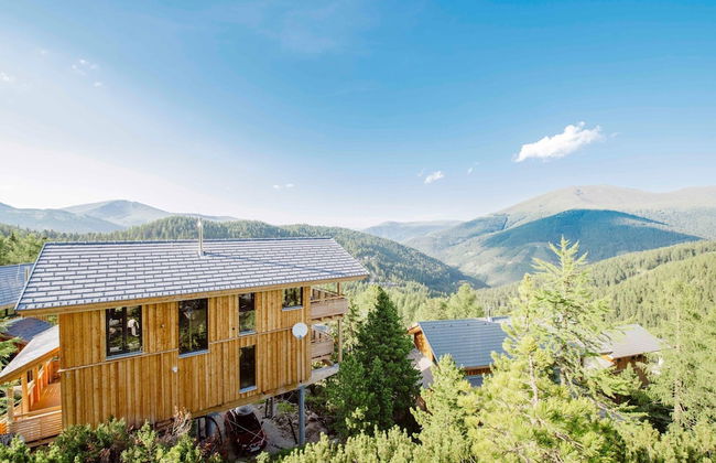 Chalet in Alps Near Ski Slopes With Jacuzzi - Photo 28