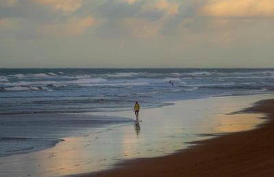 Apartamento 03 suítes - Tree Bies Beach Resort - Praia de Subaúma - Foto 22