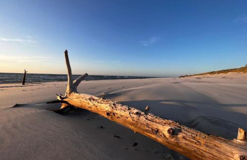 Słowińska Łąka - Foto 47