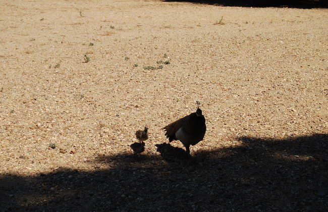 Vivienda Rural el Retorno - Foto 45