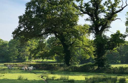 Bittles Cottage - Photo 23