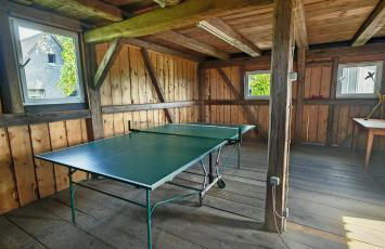 Ferienhaus VILLA ZAUBERBLICK am Rennsteig Frankenwald FREISTEHEND naturnah HUNDEFREUNDLICH eingezäunt - Foto 78