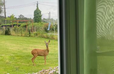 Une halte entre terre et mer - Foto 1