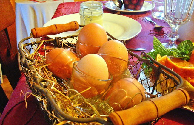 Flat in Alsace Near Vosges Nature Park - Foto 11