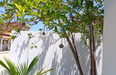 Casa Barrinha - Foto 6