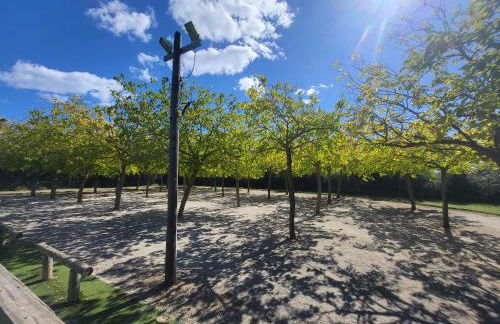 MH 4 pers Torreilles plage - Foto 24