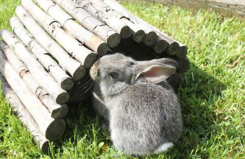 Thallerhof - Foto 17