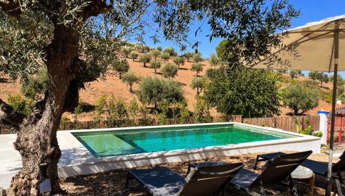 Casa da Loba - Foto 4