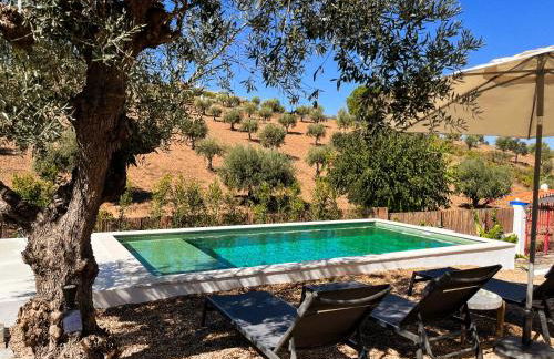 Casa da Loba - Foto 4