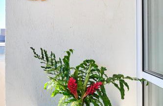 300m da Praia, Varanda G, p/8 hospedes Wi-Fi 300MG - Foto 49