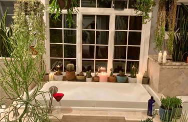 Unique Luxury Central Historic Landmark Home - Foto 47