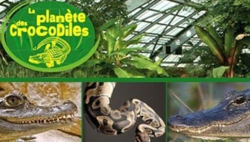 Gîte des Lavandières en bordure de Vienne (Civaux) - Foto 3