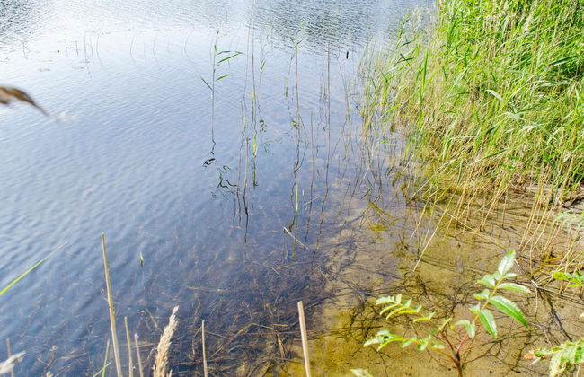 Kolin helmi 2 - Foto 22