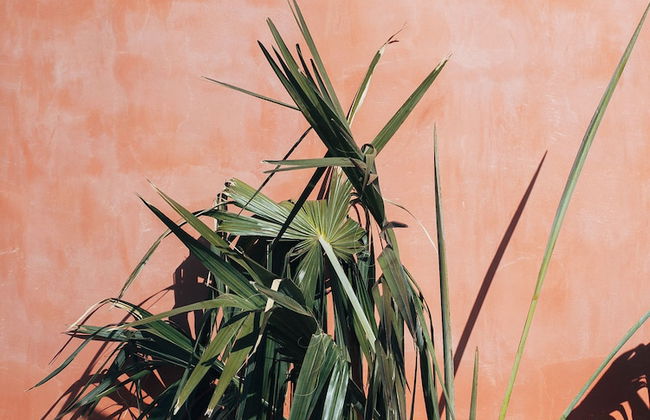 Three House Hotel - Foto 42