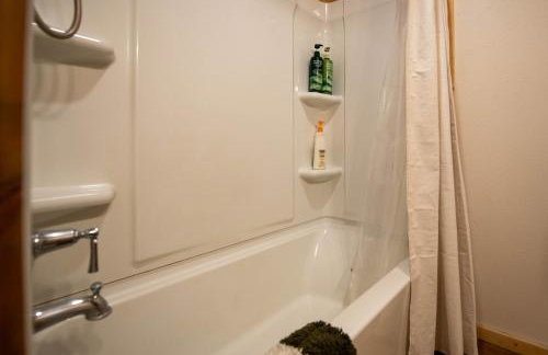 Fog & Fern Hideaway - Cozy Cabin w Private Hot Tub near Mt Rainier - Foto 25