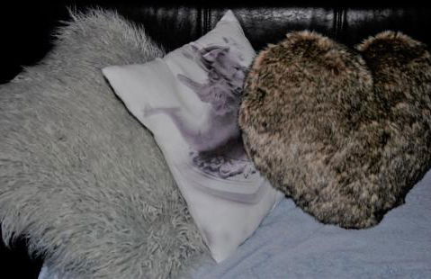 Le Château - Foto 40