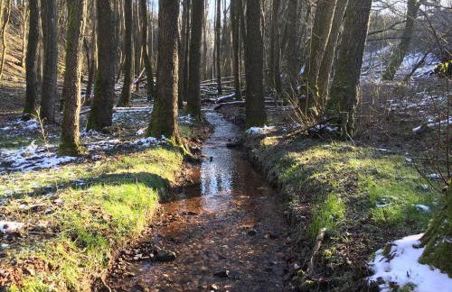 Haagalm Terrasse, Garten - Foto 78