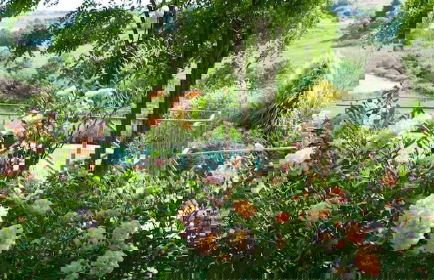 Agriturismo Quarto Podere - Photo 29