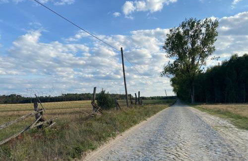 Jolly Old House - Foto 32