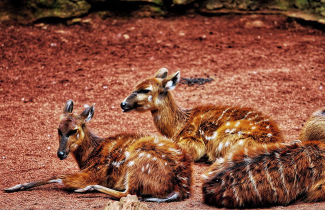 The Valentia Cabillers Hotel - Foto 49