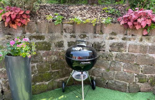 Le Terrier du Katz - Photo 33